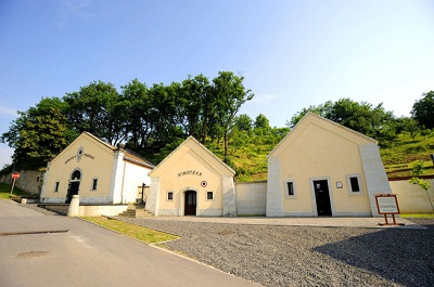 �V���g�[�E�f���X��