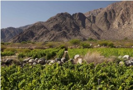 �A�}����