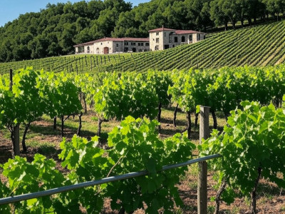 �}�N�t�@�[�\���E���C���Y