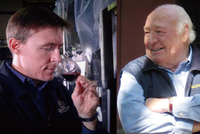 �o���f�B�r�G�\