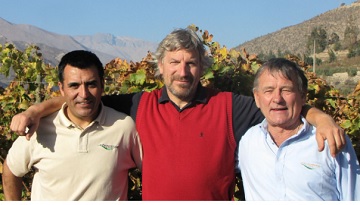 ビーニャ・ファレルニア